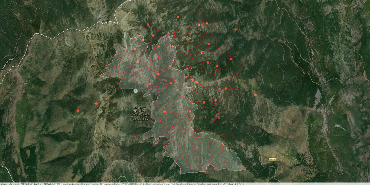 jerolozano24's tweet image. #IFPeñalbaDeLaSierra #IIFF Lamentablemente espectacular el avance del fuego en el arco nocturno. Estamos nuevamente ante un #GIF . El incendio cerca de zonas muy sensibles, Cardoso de la Sierra. Datos #FIRMS 26092025