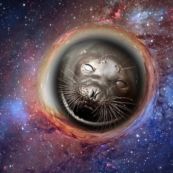 Sealyne_'s tweet image. I am an astronomer and this is my photo