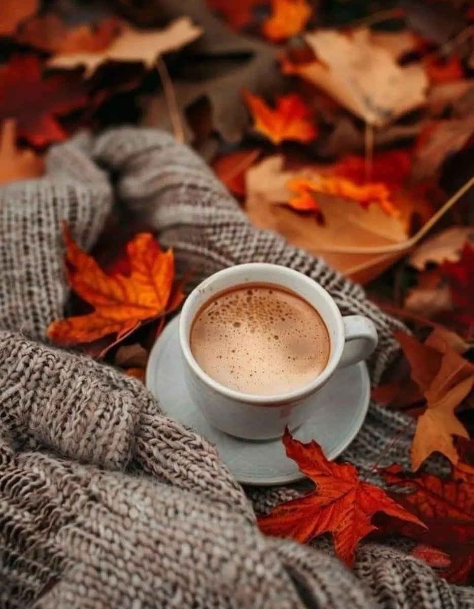 #BuenosDiasATodos #FelizViernes 😊☕🥐🍩💜🧑‍🦽🌻🌞