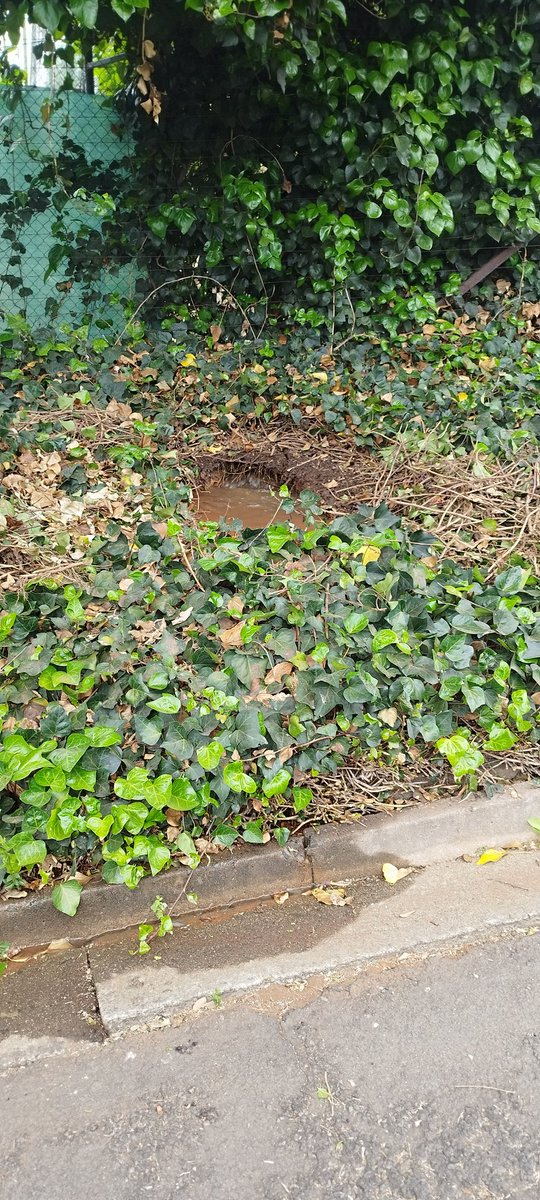 Niki Seberini tweet media