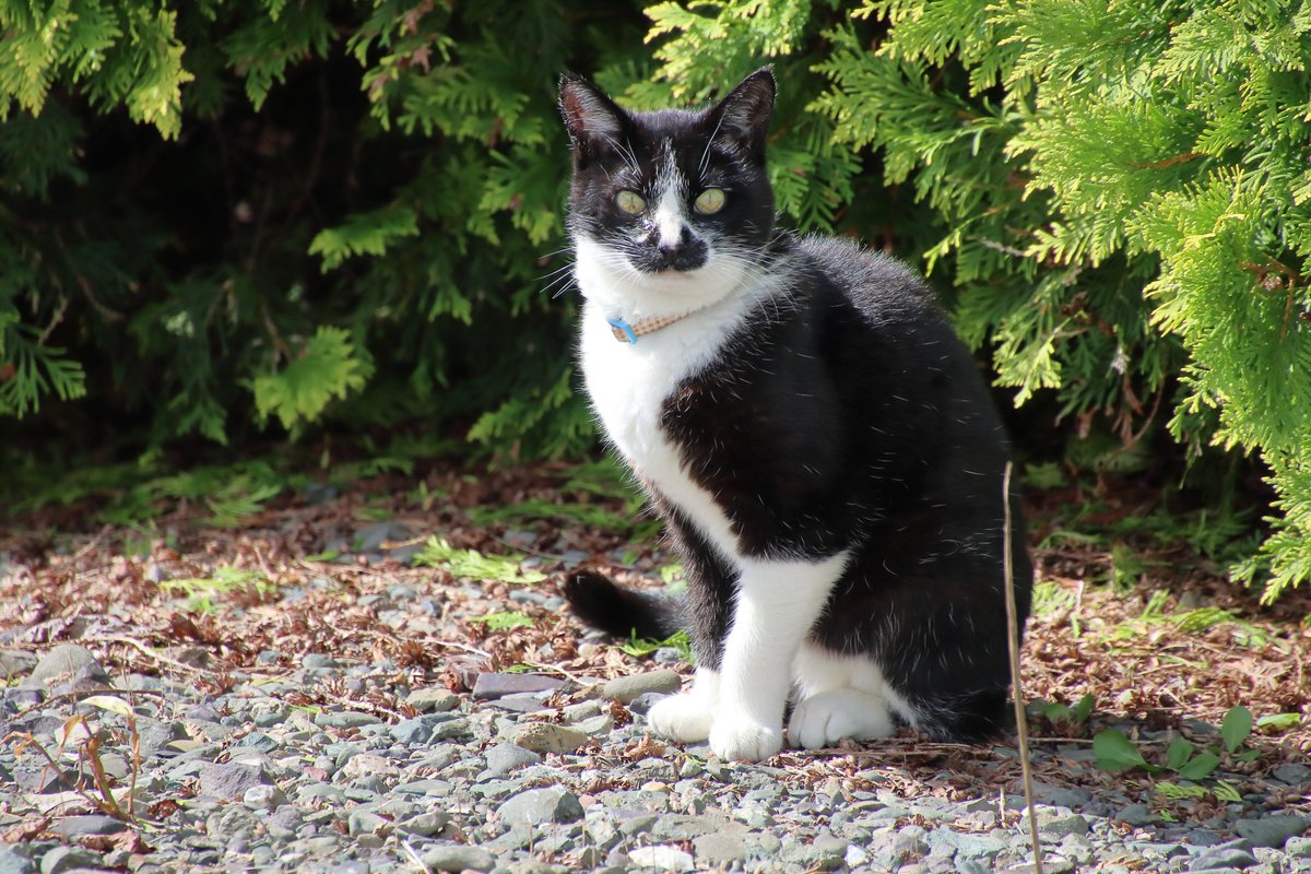 自分は独り占めしたいタイプの人間です。

ですので、渓流釣りは一人で行きます。

※写真は一切関係ありません。