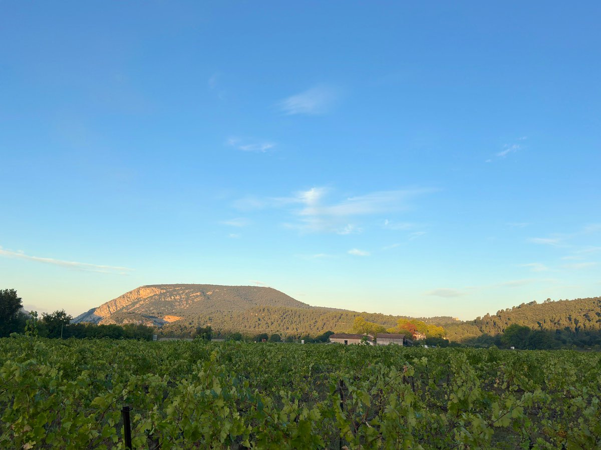 Château de Clapier tweet media