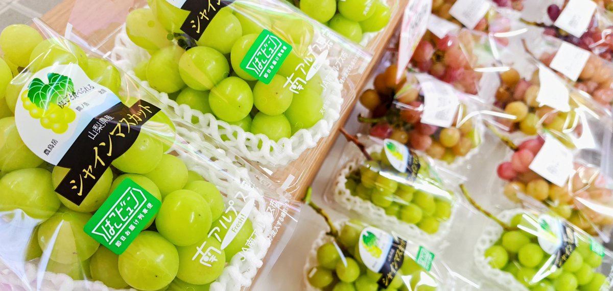 今日は #新浦安駅 で #新浦安マート を開催しているケイ🐶さっき山梨県