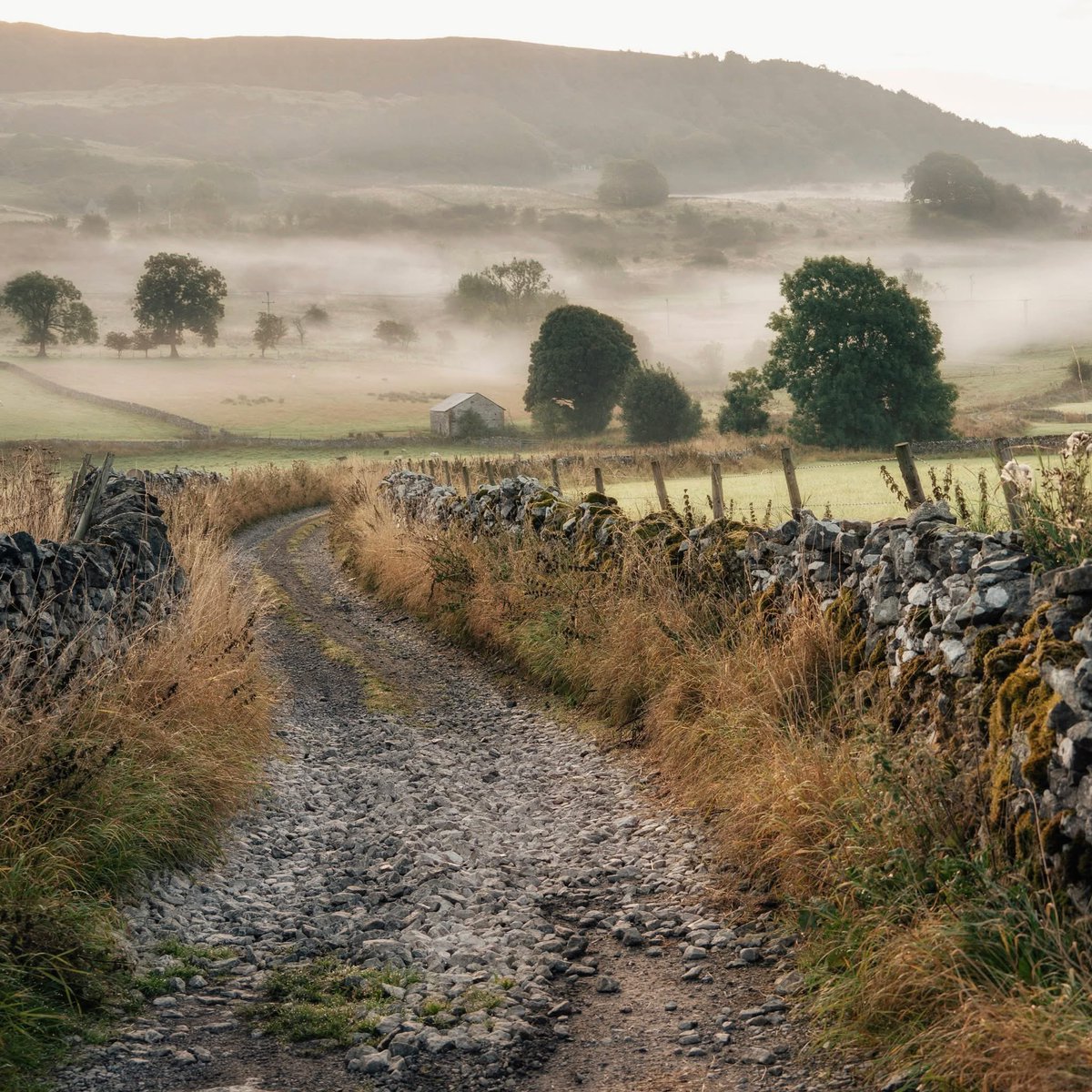 Aahhh, September mornings on quiet lanes, the promise of daybreak and sunshine ahead, the silence broken only by those sheep waking up and the sound of my footsteps. These are the days that I always wish could last a little longer, when I wish autumn could linger like the mist on