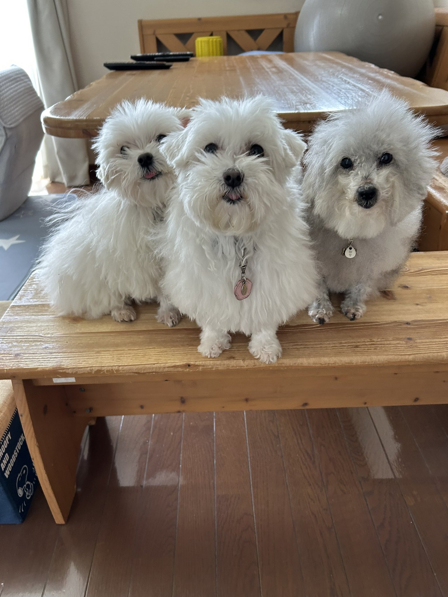 ハルさま確認ページ♥ Gztduhxb0AA3Ugg.jpg
