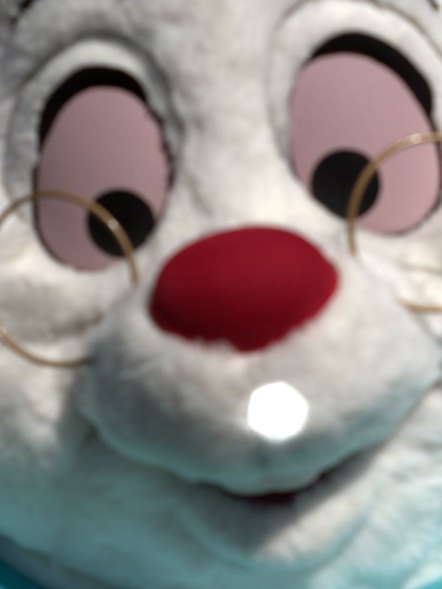 うさぎ
 #しらす天丼のしゃしん