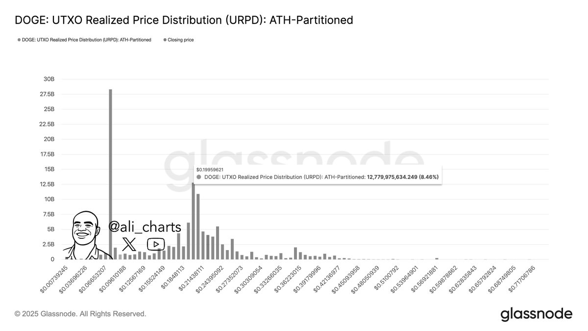 The most important support level for Dogecoin $DOGE is $0.20!