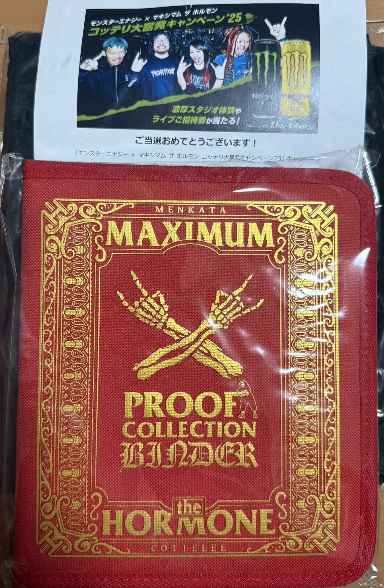 マキシマム ザ ホルモン maximumthehormone_art202409.