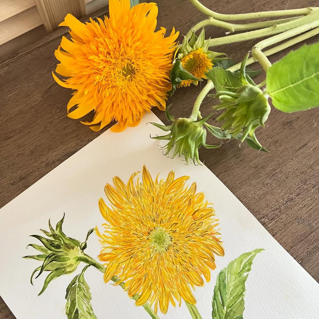 💛🏵🌼Share something yellow 🟡💛💛💛💛💛💛🌞