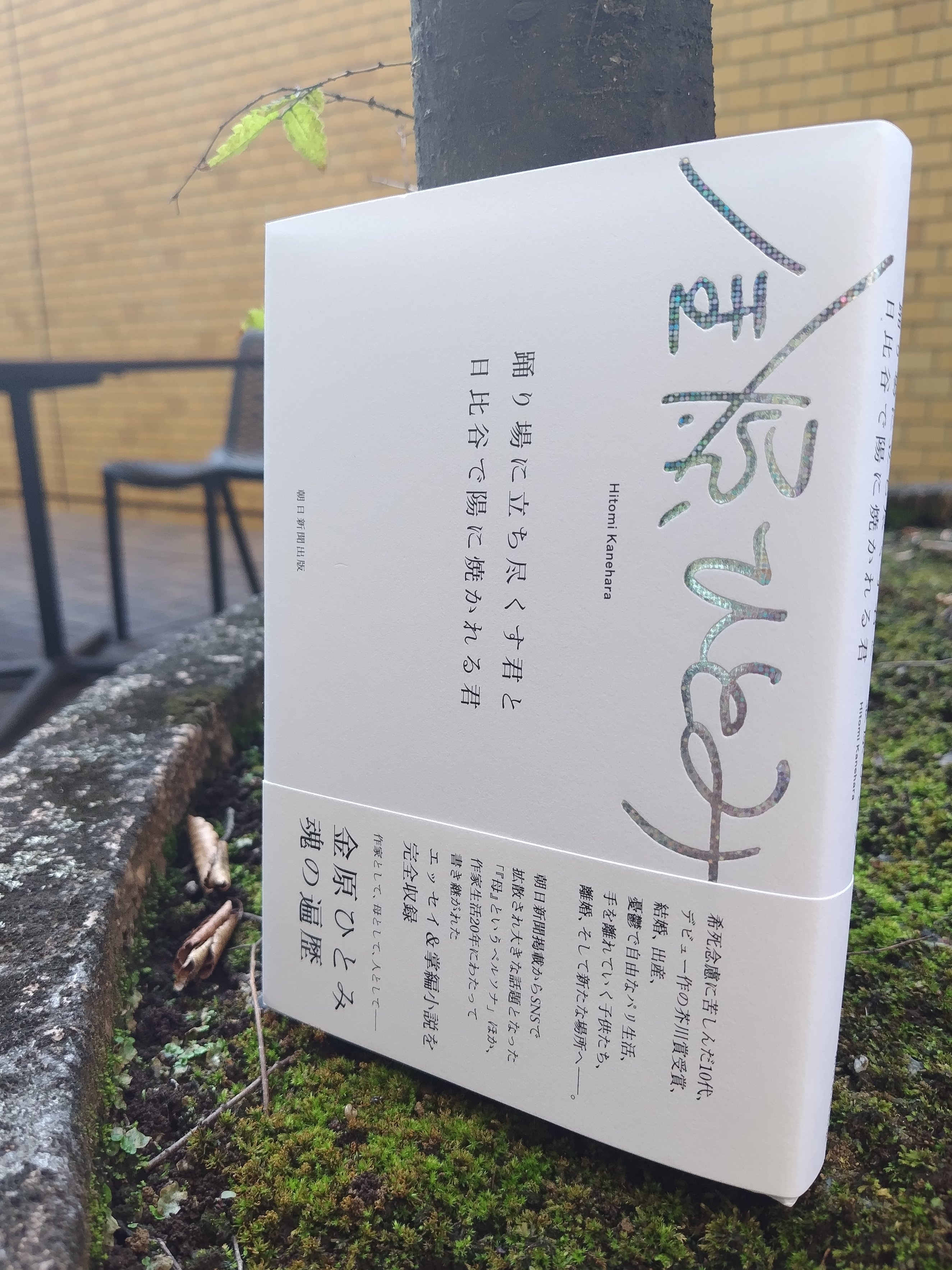 茄子のおひたし｜NACCHAN (@iteuka11) / X