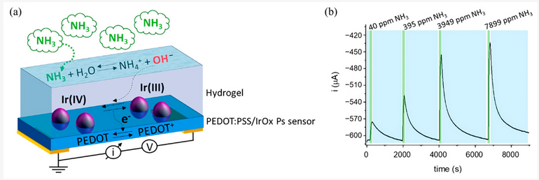 Sensors_MDPI's tweet photo. Conducting Polymers-Based Gas Sensors: Principles, Materials, and Applications
https://t.co/k4qZBtKk1A
#conducting_polymer #gas_sensor https://t.co/pO6N5Gpt2j
