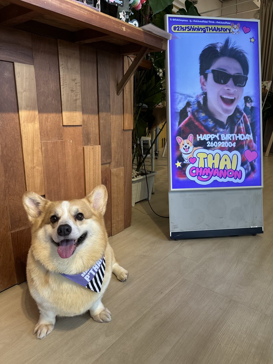 Patsnnn's tweet image. คาเฟ่เปิดแล้วค่า ~ 🌤️🦊☘️
ใครว่างๆ อย่าลืมมาหากันน้า มีเครื่องดื่มเย็นๆอร่อยๆไว้ต้อนรับทุกคนเลยค่า 💜

#THAIchayanon 
#21stShiningTHAIstory