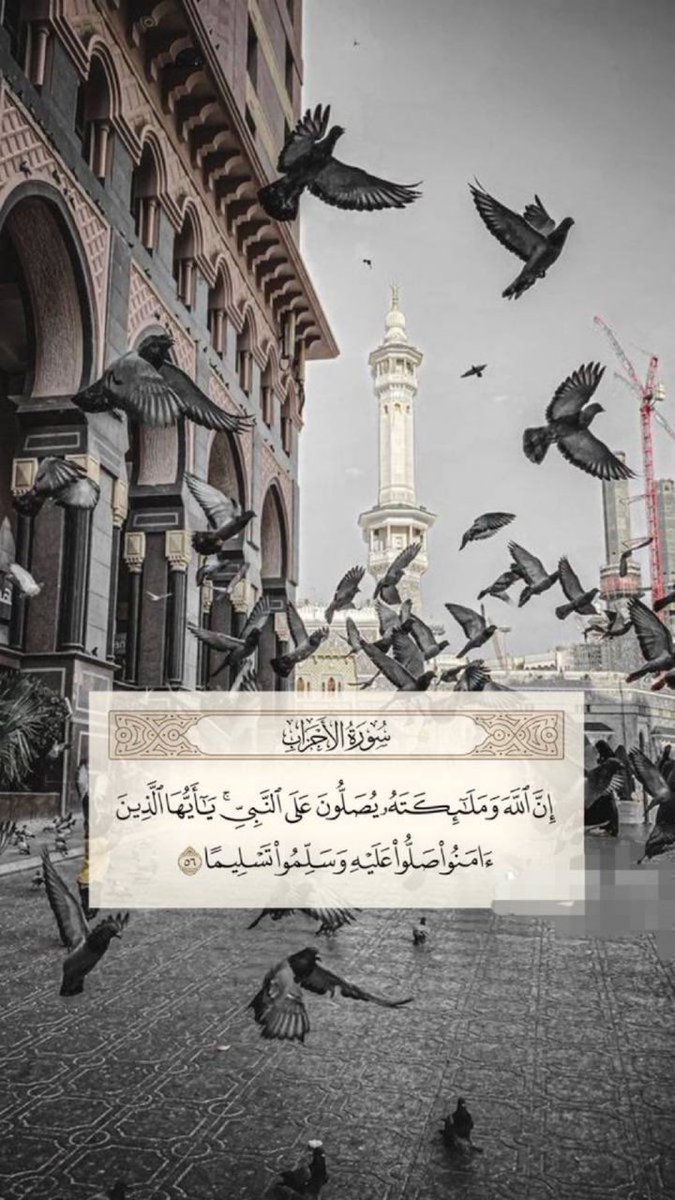Hend (@hend__m) on Twitter photo 
