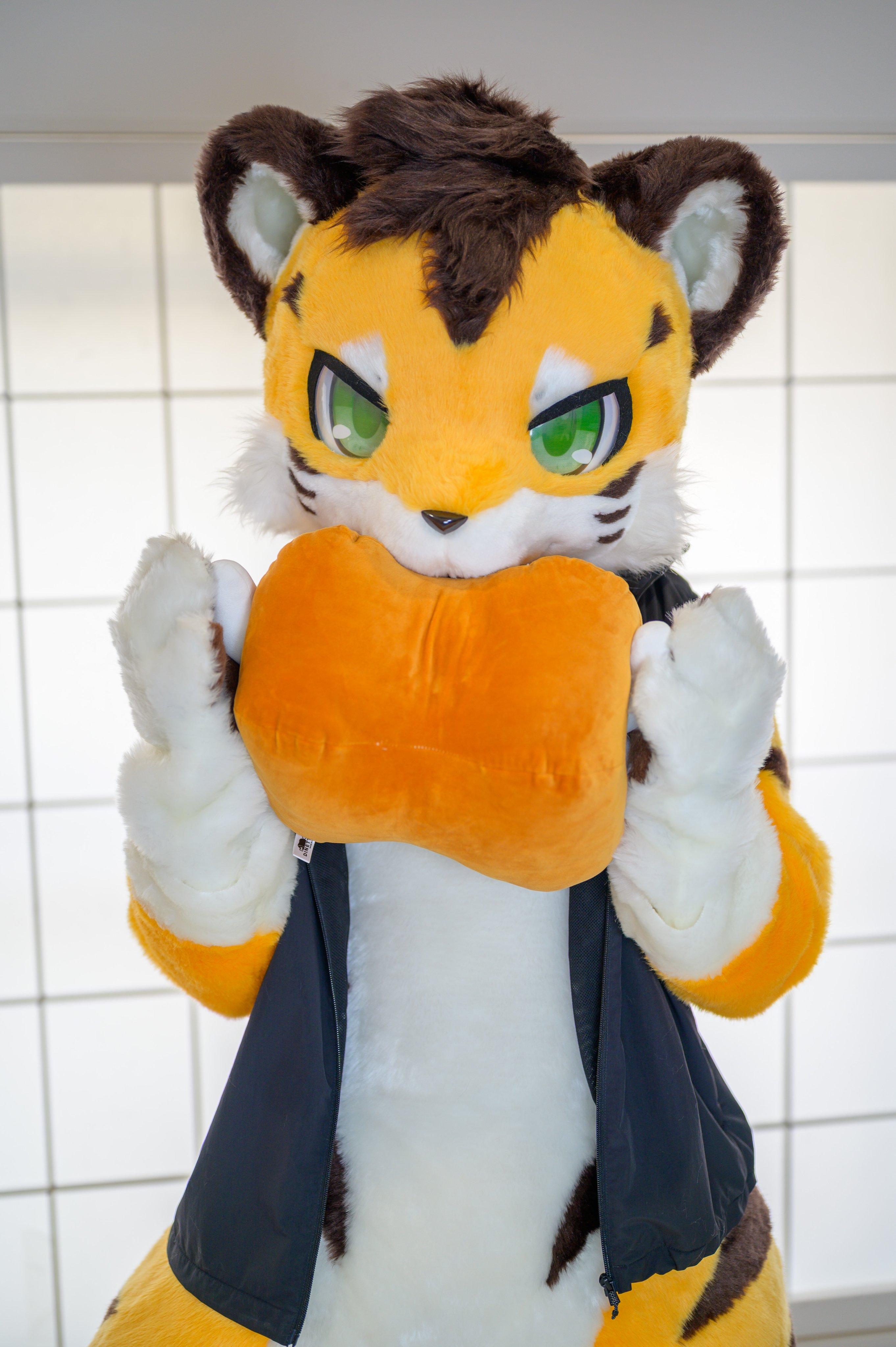 shirofox__ - البحث / X