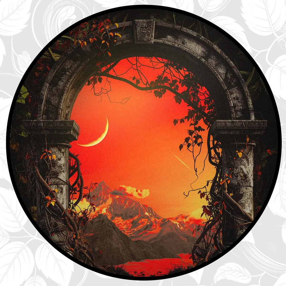 Celestial Soul tweet media