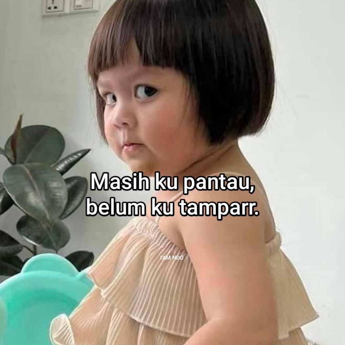 KucengTerbanggg's tweet image. 