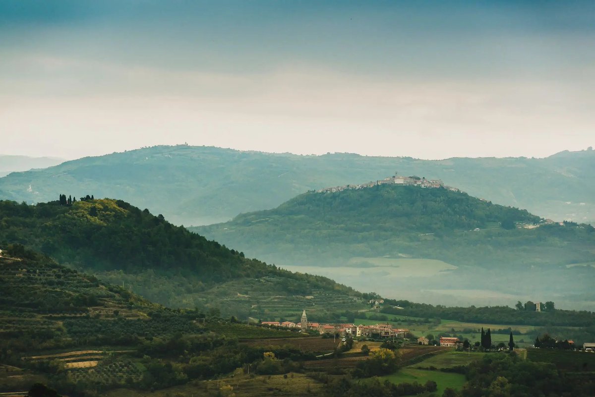 Beneath the shade of mighty oaks, the #MotovunForest whispers stories both real and mythical. 🌳✨ Here, rare #truffles grow in harmony with ancient trees, while #legends tell of Veli Jože, the giant who swept away armies with oak trees as brooms.
