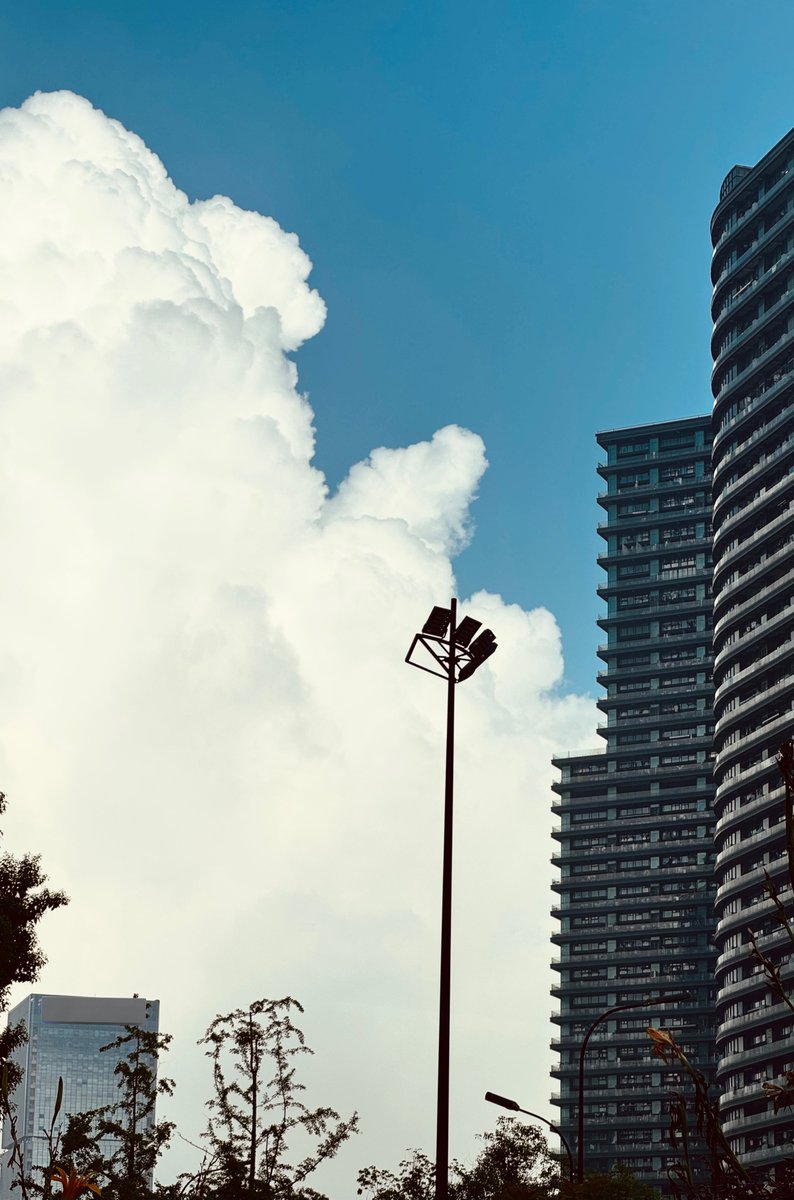 __enix__'s tweet image. 