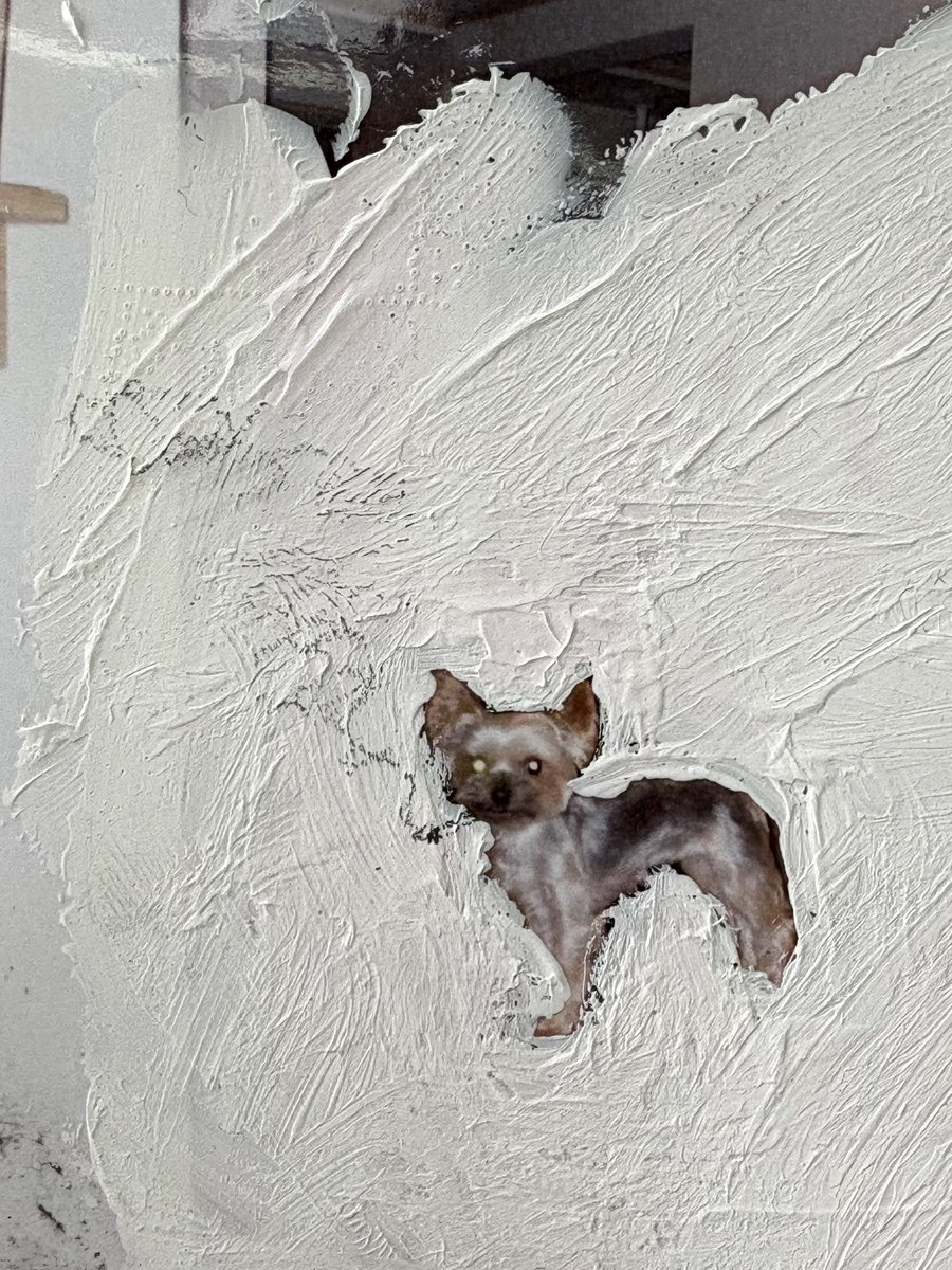 〰️ (@dolphin__kick__) on Twitter photo 