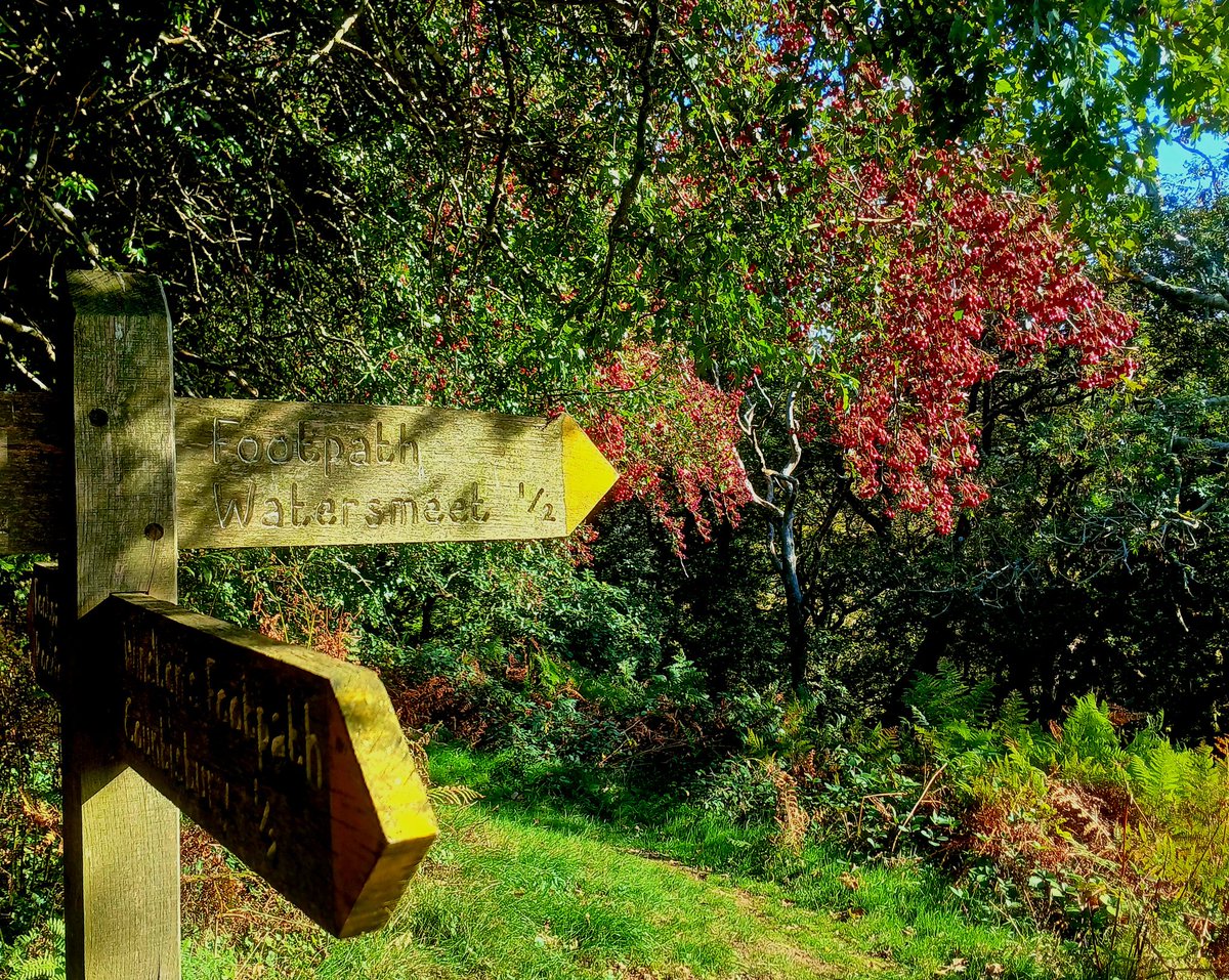 Toady99999's tweet image. Taken yesterday on a fabulous walk around Watersmeet and Countisbury. #NorthDevon #fingerpostfriday