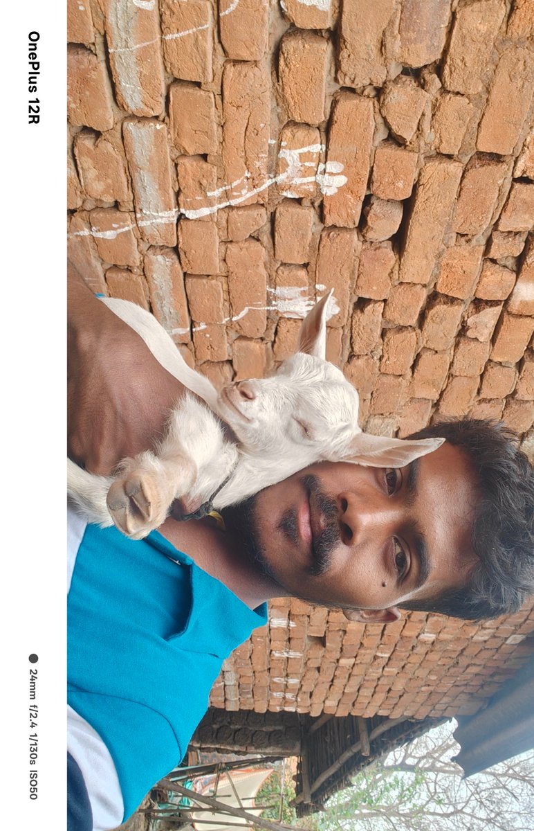 andyganuganesh_ tweet media