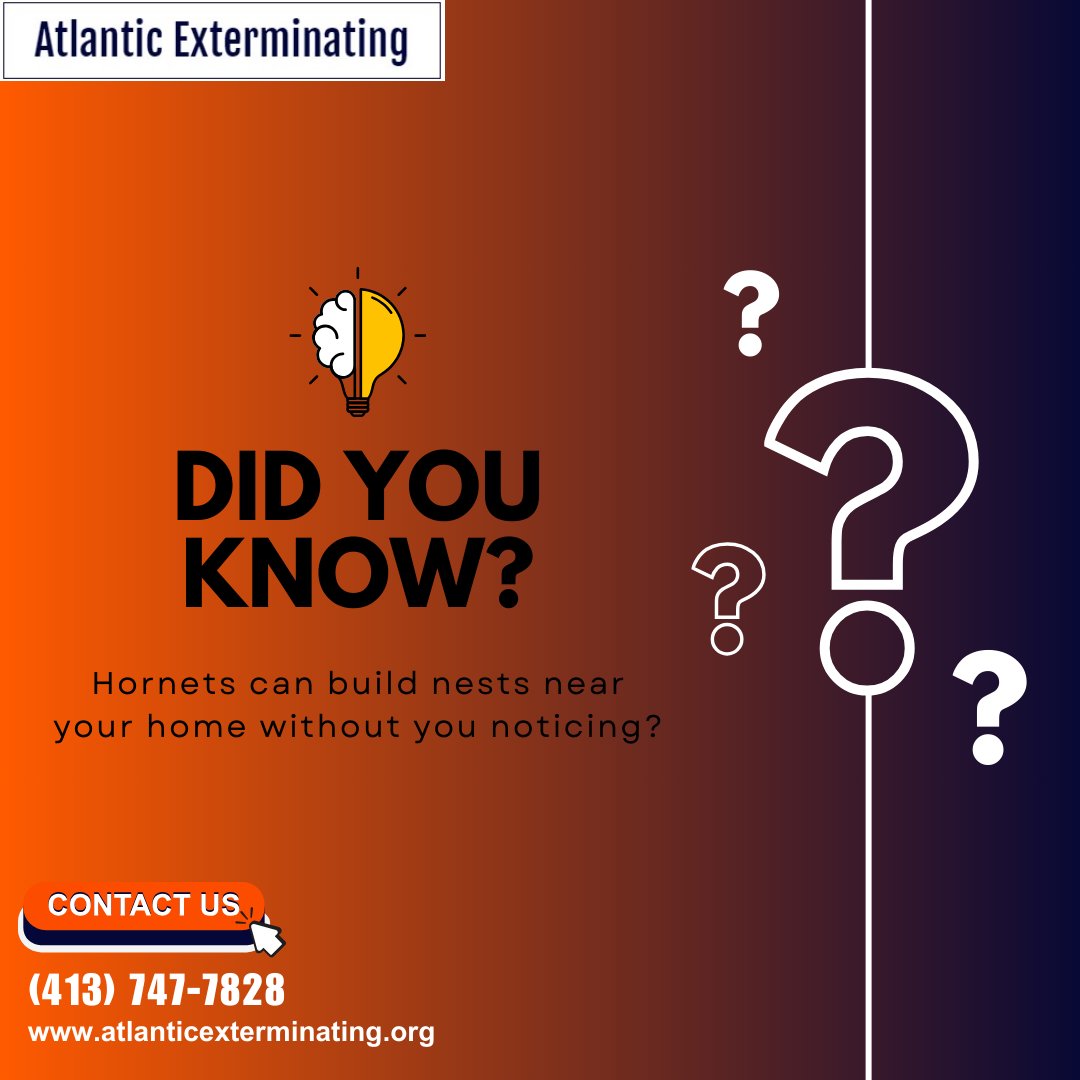 atlcpestcontrol's tweet image. Did you know
Hornets can build nests near your home without you noticing?

🌐Visit our website atlanticexterminating.org

#HornetControl #PestControlFranklinCounty #AtlanticExterminating #BeeAndHornetRemoval #HornetNestRemoval #LocalExterminator