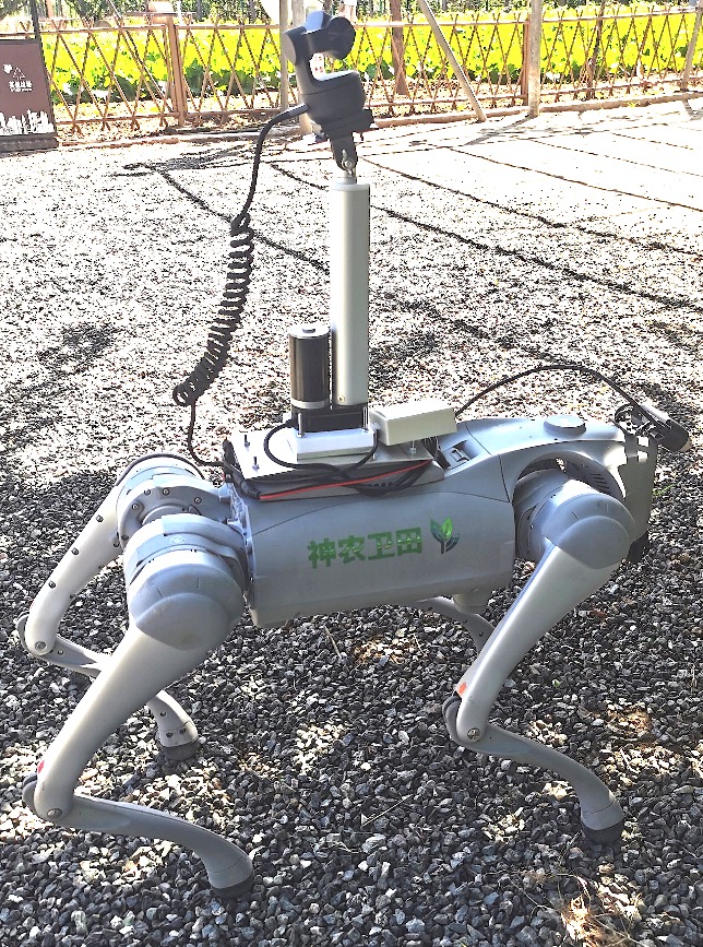 China_Fact's tweet image. Intelligent robot dogs appear in farmland in Beijing&apos;s Huairou District! The robots can quickly identify crop types and detect pests and diseases with an accuracy rate exceeding 90%. #Beijing