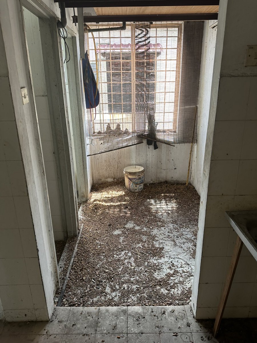 am_designmy's tweet photo. Dulu rumah ni rumah usang, seperti tidak bertuan. Sekarang? Fresh reno, siap untuk penyewa baru 🚀 

From unit lelong to rumah selesa terus ✨ https://t.co/CWVBTKRE3S