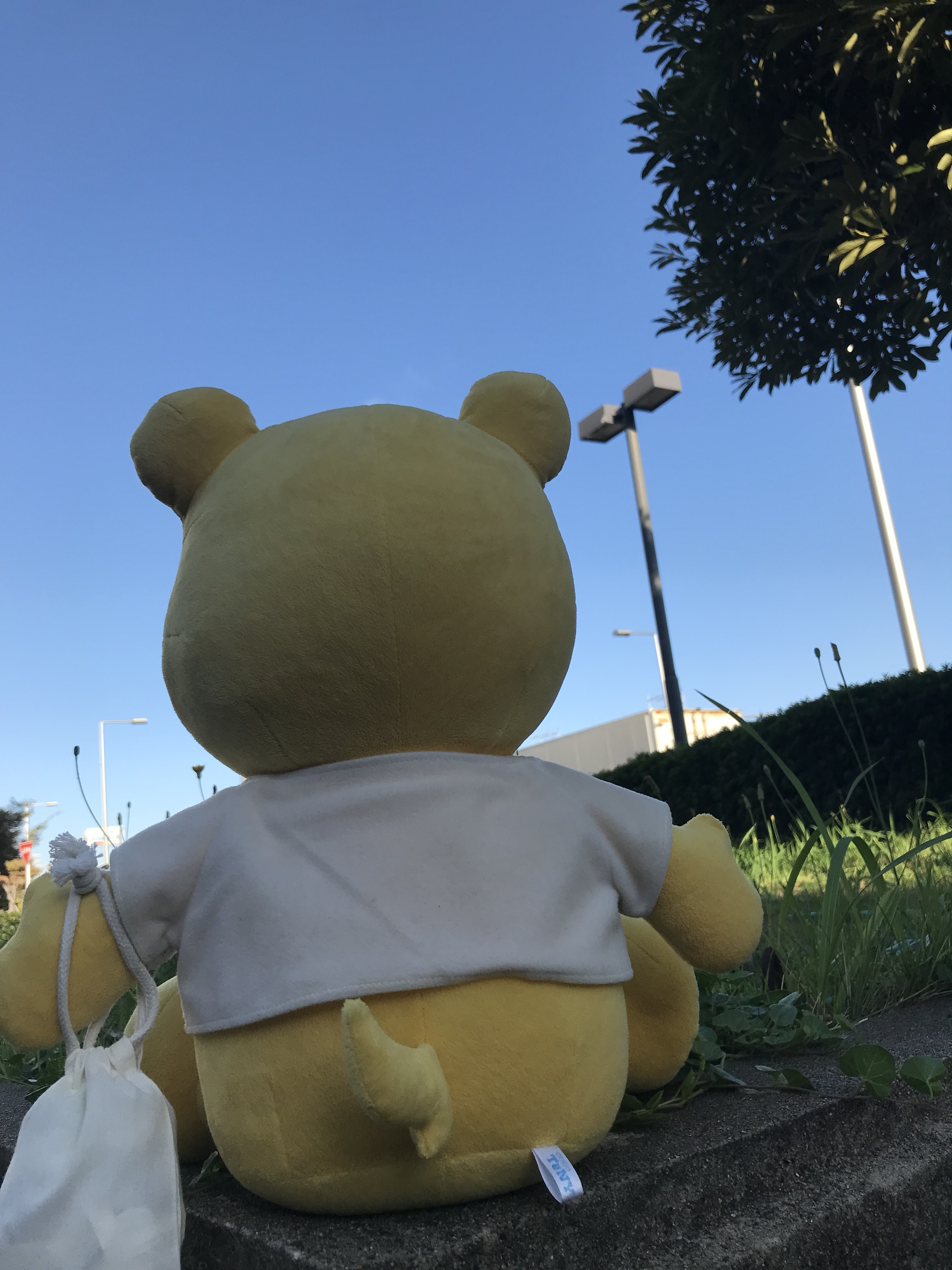 テッドくん てっと君 (@tetto_kun) / X