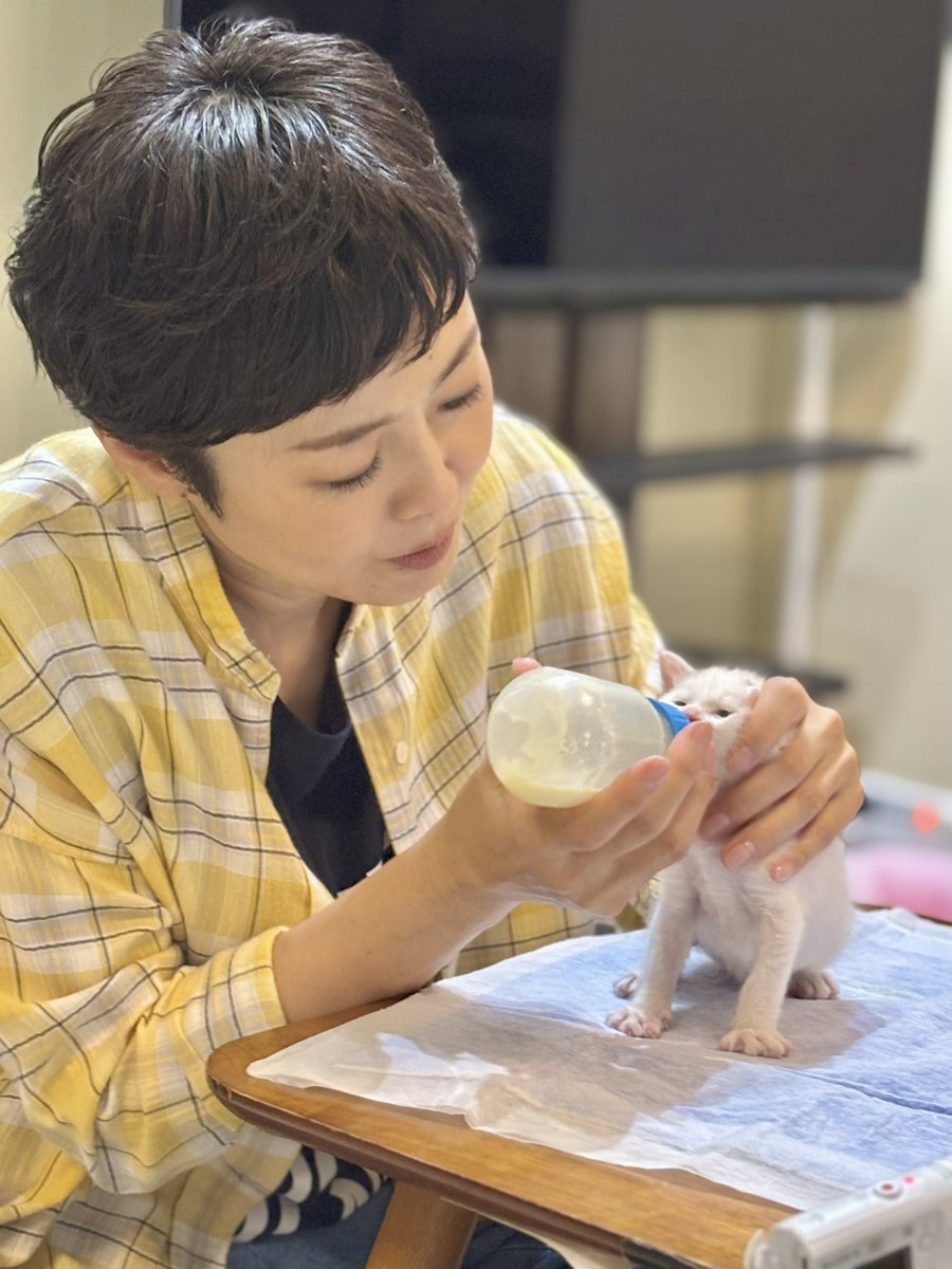 nittele_ntv's tweet image. ⋱相葉雅紀MCの動物番組🎙️⋰

相葉の保護犬トリミングに
氷川きよしが初登場！

有働由美子は赤ちゃん猫の母親代わりとなって
夜を徹してミルクを与える
&quot;ミルクボランティア&quot;に再び挑戦！

超強力な助っ人として
遠藤憲一も参加✨

📢今夜7時
『#嗚呼みんなの動物園』3時間SP
ntv.co.jp/minnanozoo/art…