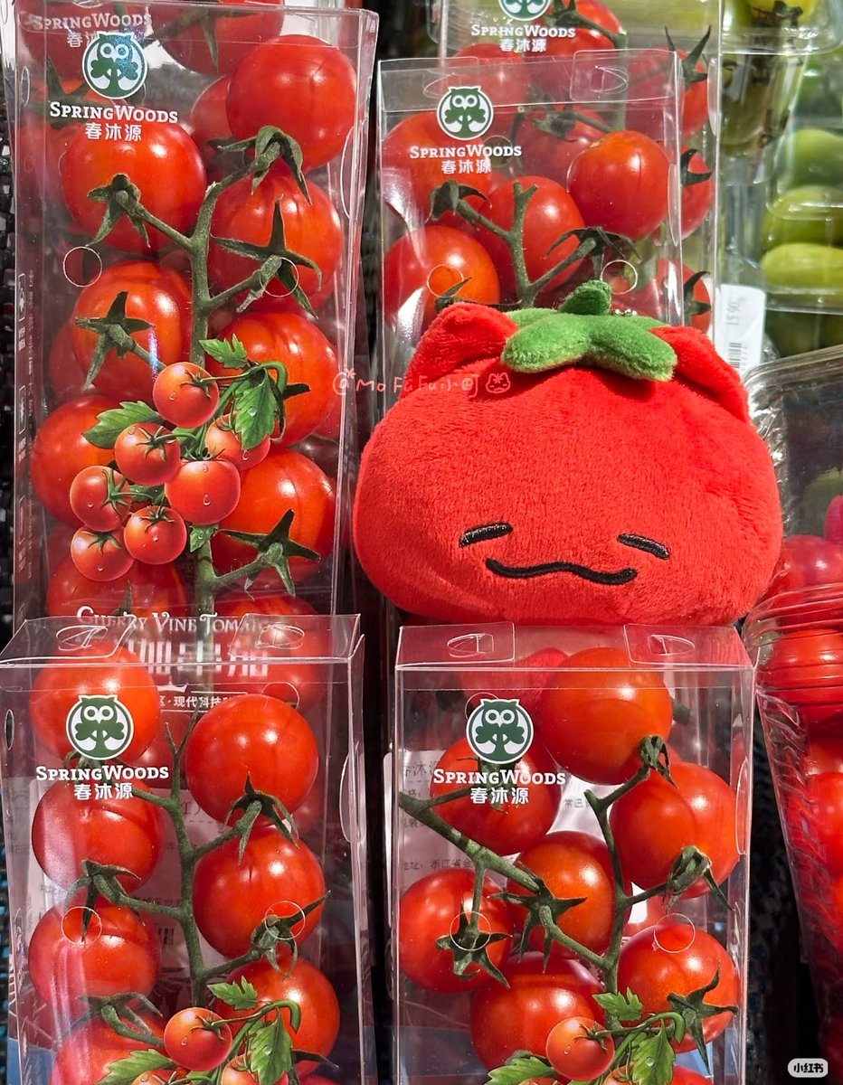 mint_go__'s tweet photo. 🍅10cm 무속성 솜인형 토토 폼🍅
📆 ~ 10월 9일 23:00 

✔️합배송은 인용RT
✔️트위터 아이디, 메일 주소 확인
✔️주의 사항 필독

#민트_토토 
#솜인덕장터

표정이 사랑스러운 토마토 고양이 토토입니다!
숟가락의 겨우 탈부착이 가능하며, 스카프는 노란색으로 변경된다고 합니다. 

입금폼(윗치):https://t.co/96d05jdzgn
페이폼(윗치):https://t.co/89BvqiSpOx
약속폼(폰디):https://t.co/SEq9qr7W0R
페이폼(폰디):https://t.co/1tWYioesu4