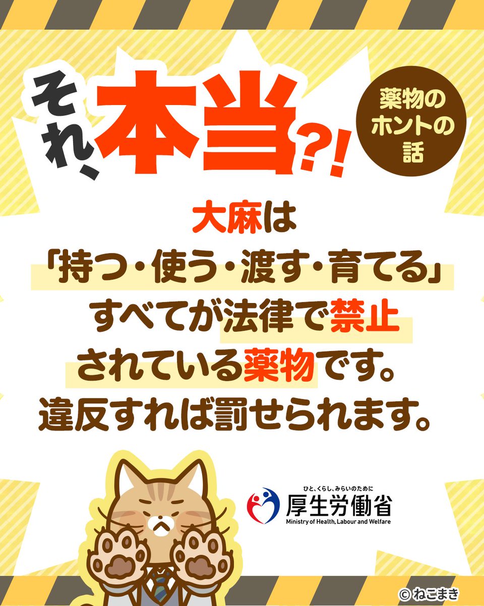 大麻は「持つ・使う・渡す・育てる」すべてが法律で禁止されている薬物です。違反すれば罰せられます🙅‍♂️

もし、薬物のことで困っていたり、悩みを抱えていたり、「苦しい」「逃げ場がない」と感じていたりしたら、ひとりで抱え込まずに相談してください
