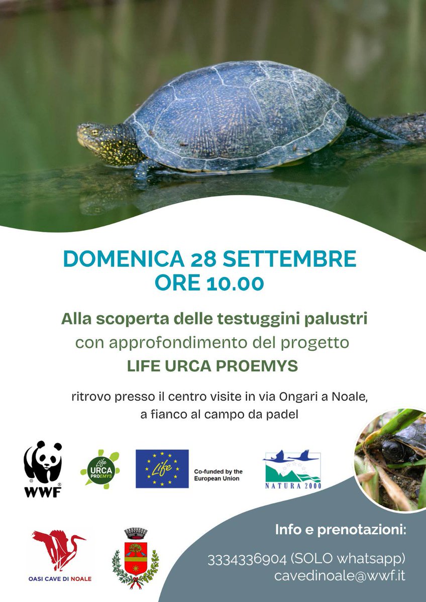 #MyNoale #MyBriana #MyCappelletta #MyMoniego
E' uscita la newsletter del venerdì della Città di Noale - No@le - Informazioni utili - Venerdì 26 settembre 2025 - [Campaign URL]