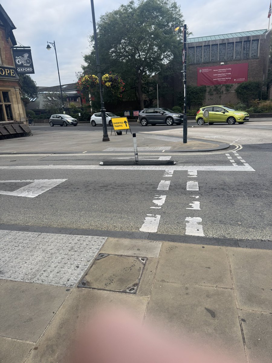 Shogi Bear tweet media