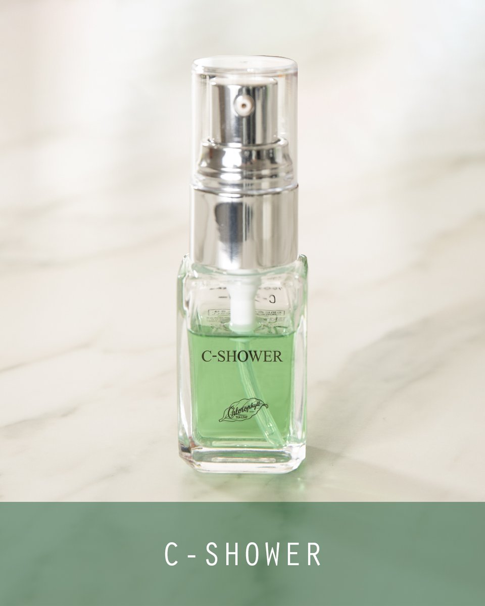 お値下げ中⭐︎日興製薬クロロフィル美顔教室　スキンケア&メイク 気になるところ、スッとフィットしてカバー。 - クロロフイル