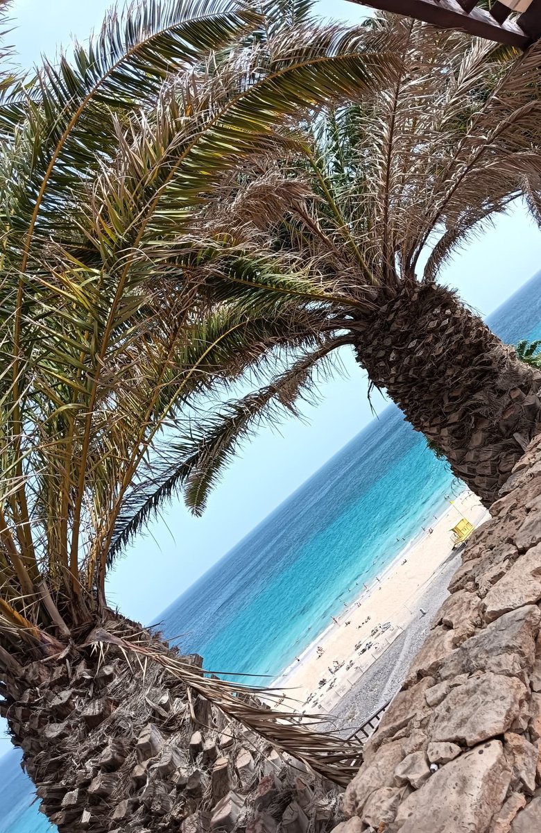 1657ChocolateHo's tweet image. We are back 🥰

What a beautiful view?

We reopen  10 am till 4.30 pm

Why not pop in and say Hello 👋 

See you all soon 😁

#openforbusiness #chocolate #chocolatebox #youchoose #yourchoice #HelloEveryone #smile #smallbusinessownerlife #SBS  #HappyFriday
#independent