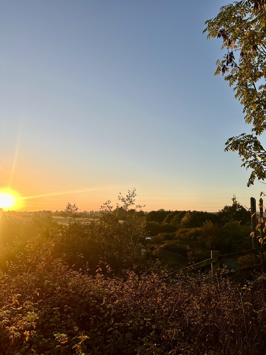 10 miles in the bank. What a morning for it 🤩🤩