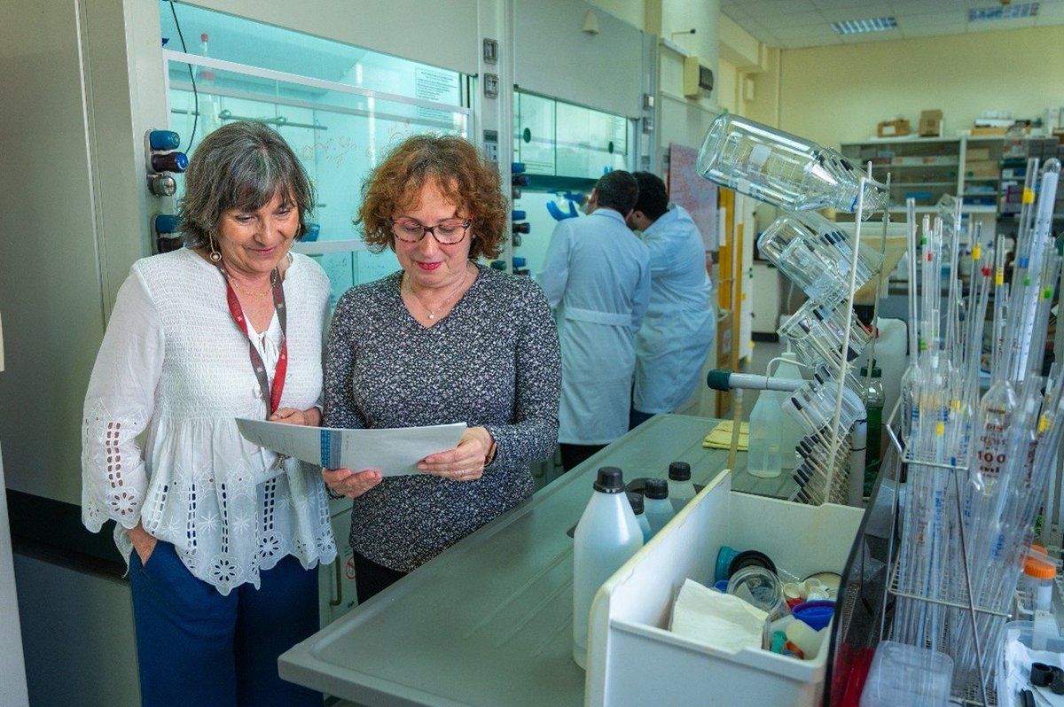 🆕 Un equipo del IQAC-<a href="/CSIC/">CSIC</a> desarrolla tensioactivos catiónicos sostenibles a base de arginina, un aminoácido natural.

Superan el 60 % de biodegradación, son mucho menos tóxicos y logran hasta 80 % de inhibición de corrosión en acero a bajas dosis.

🔗bit.ly/4pIo8qO