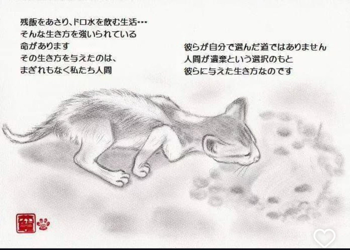 残飯をあさり ドロ水を飲む生活
そんな生き方を強いられている
命があります

ある人の コメント
   👇
『避妊・去勢は本来生きている生き物の生体を破壊する行為ですから私は絶対に反対です』

避妊去勢は 行き場のない命を
増やさない為の苦肉の策です

愛護週間25/9/20〜26