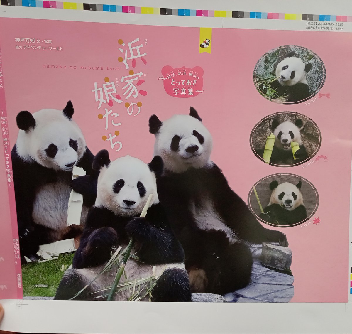 パンダ子 様 2点おまとめページ♡ありがとうございます &mall（アンドモール）三井ショッピングパーク公式通販