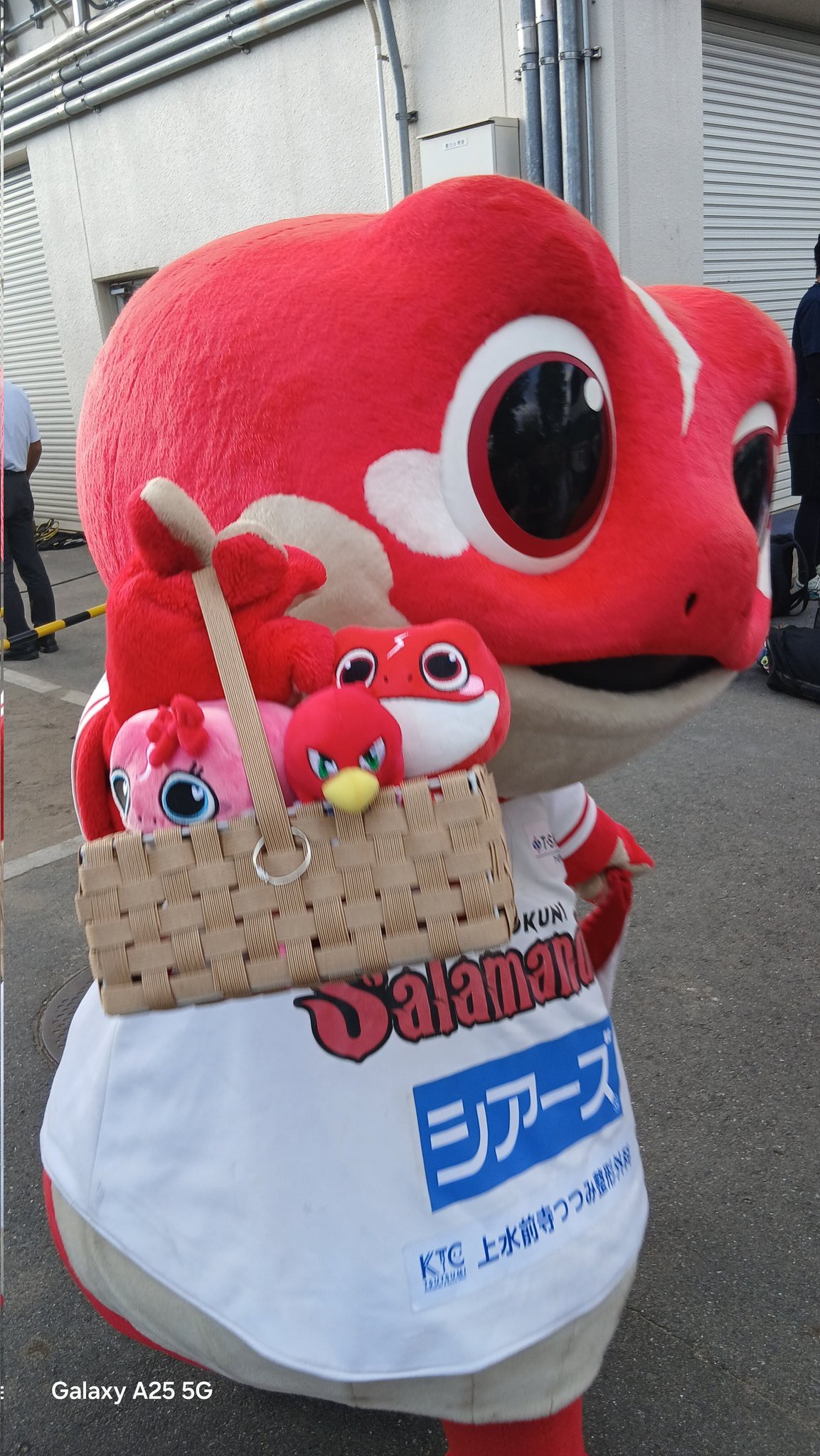 タマたまくん on X: 