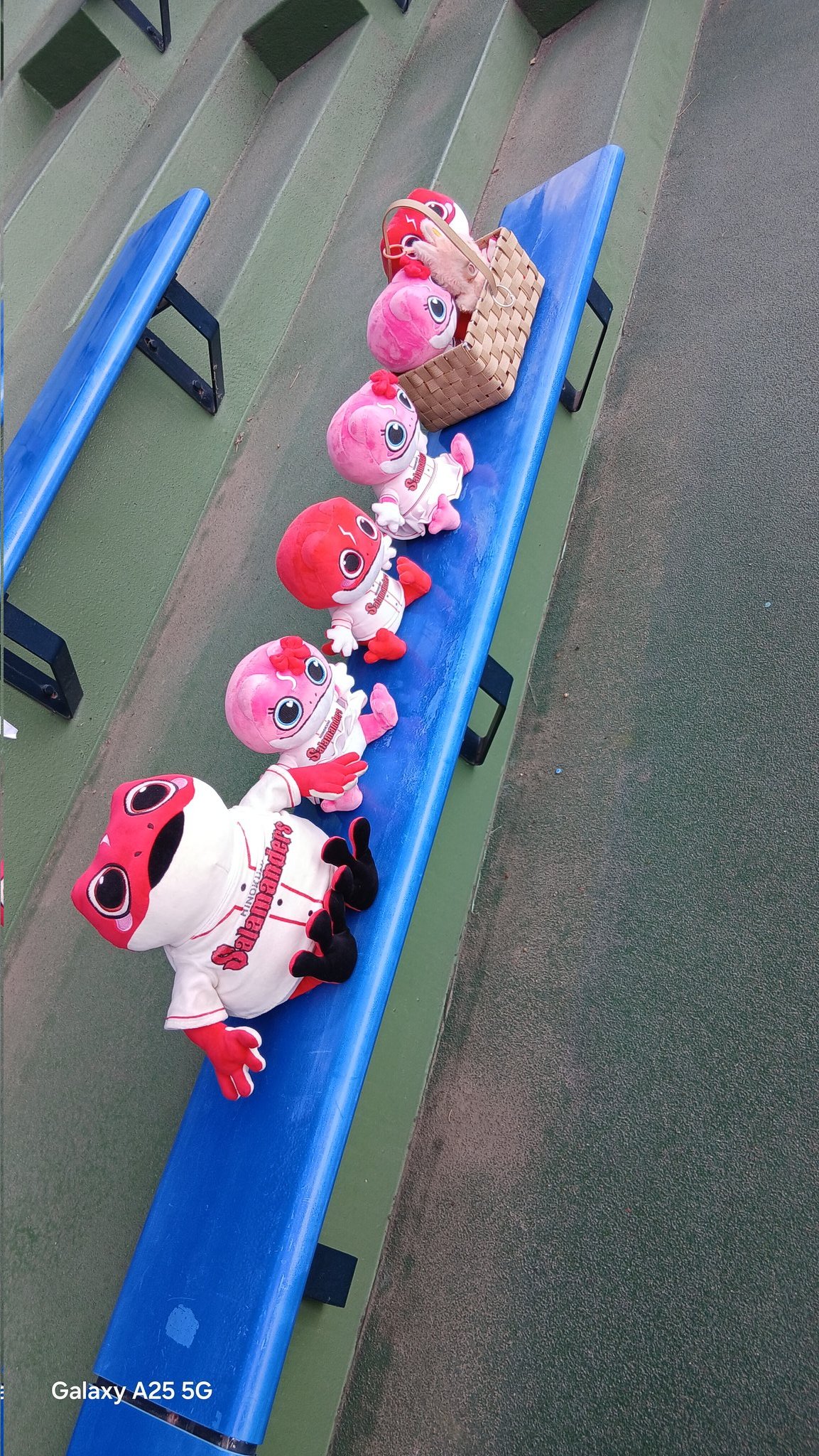 たまちゃん たまちゃん。 on X: 