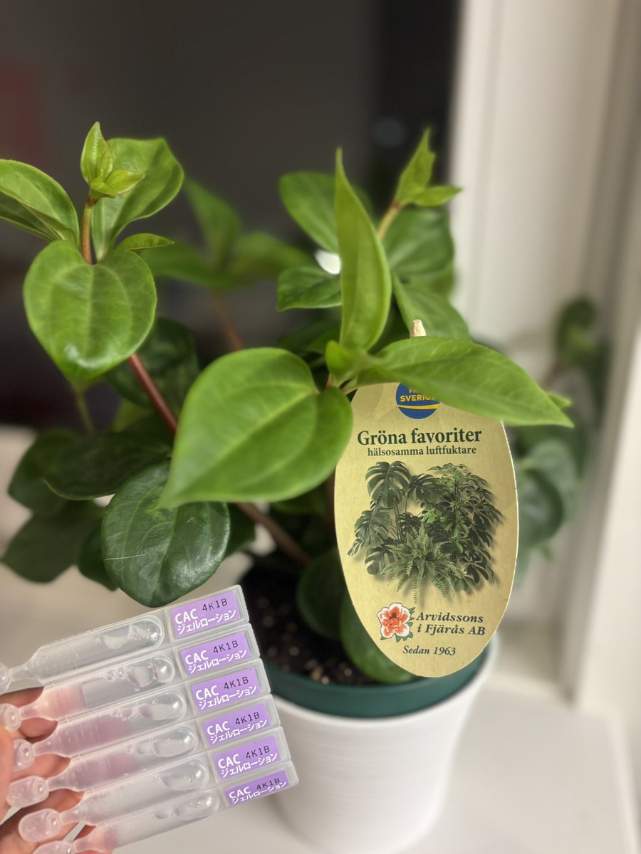 鴨川実歩 tweet media