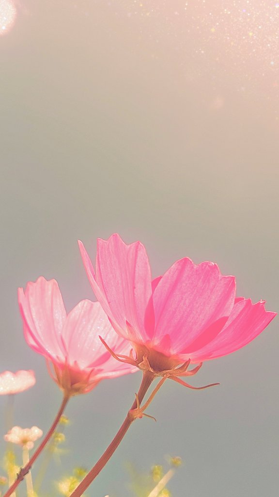 ❥ 𝙄𝙨𝙖 (@___june______) on Twitter photo 