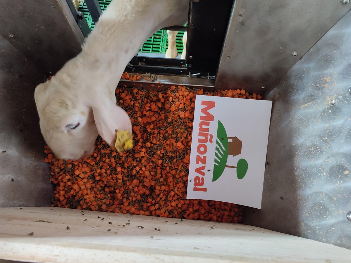 Universidad de León tweet media