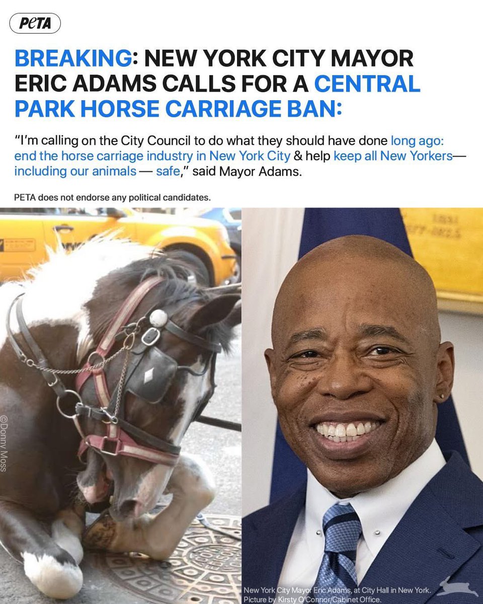 Brilliant news: 🤞🤞
#NY #NYC #US #America