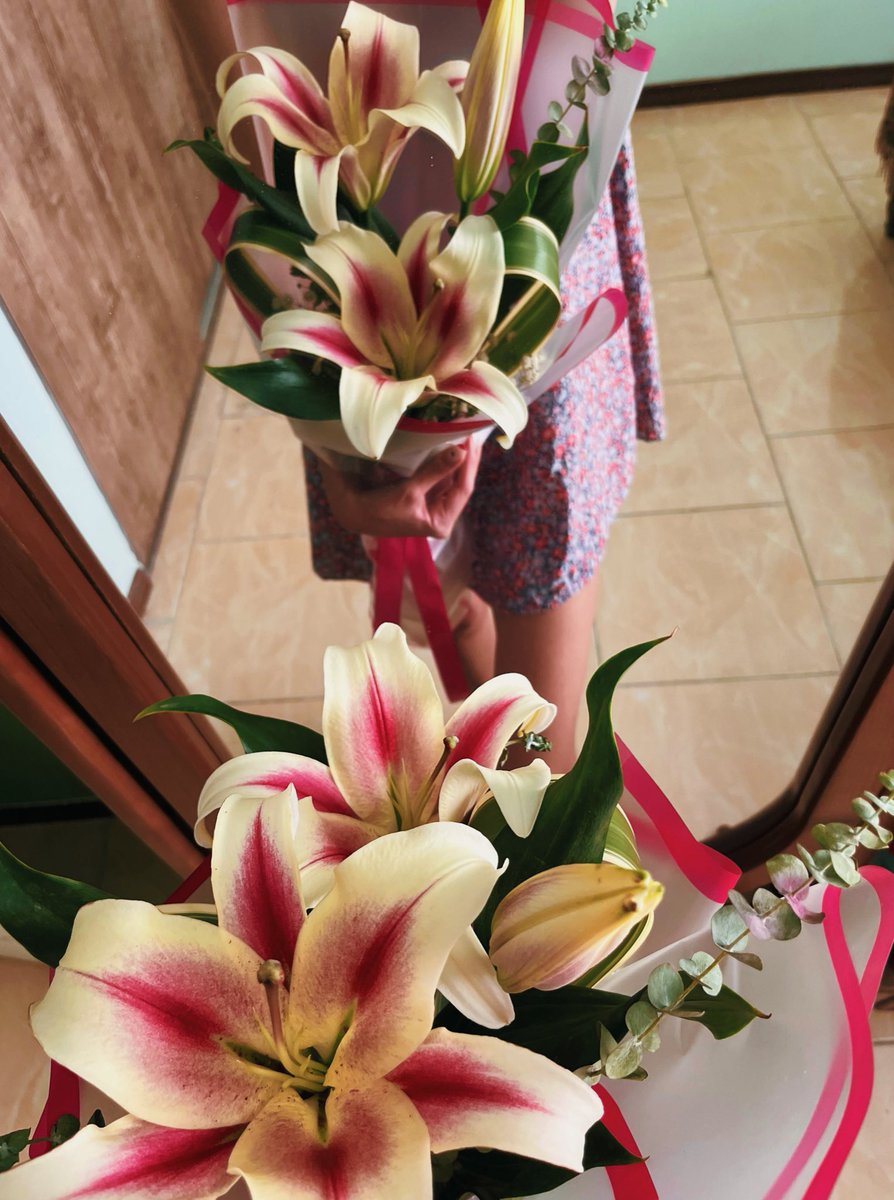 مستعد تصادف tweet media