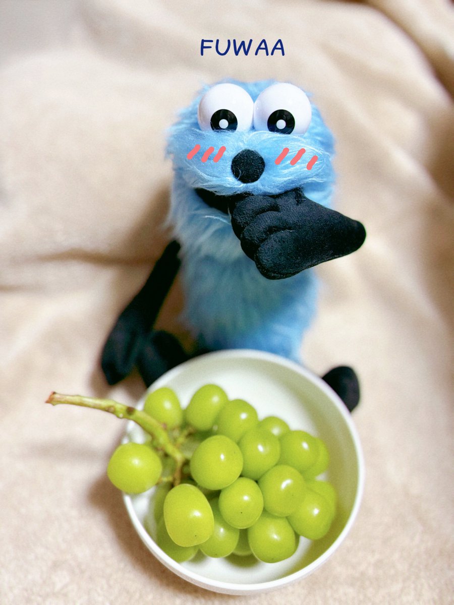 すんすん❗️❗️ パペットスンスン最新情報 (@sunsun_info_) / X