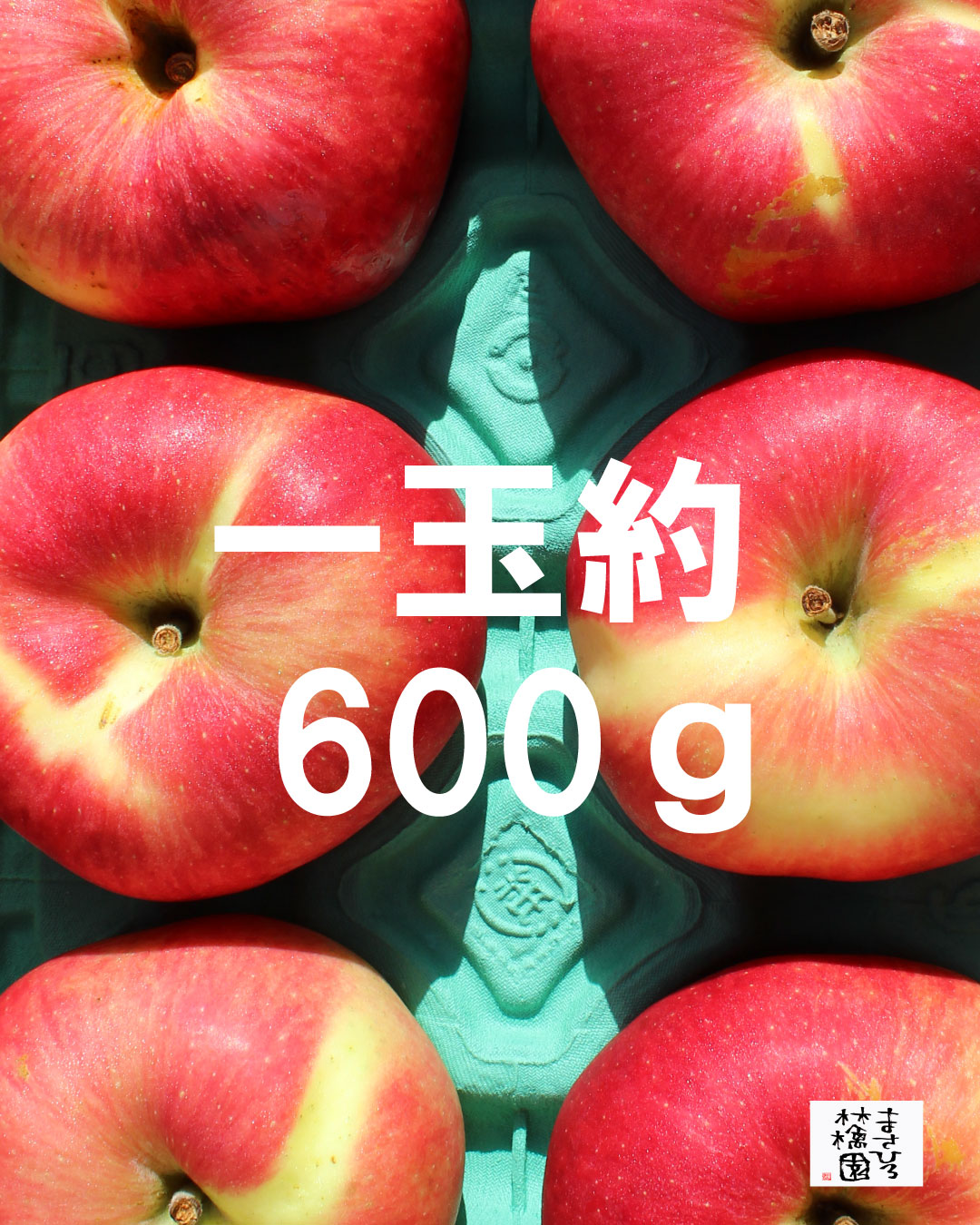 白林檎様☆専用 スタッフU@まさひろ林檎園🍎大きめ品種の「華宝」の中でもさらに