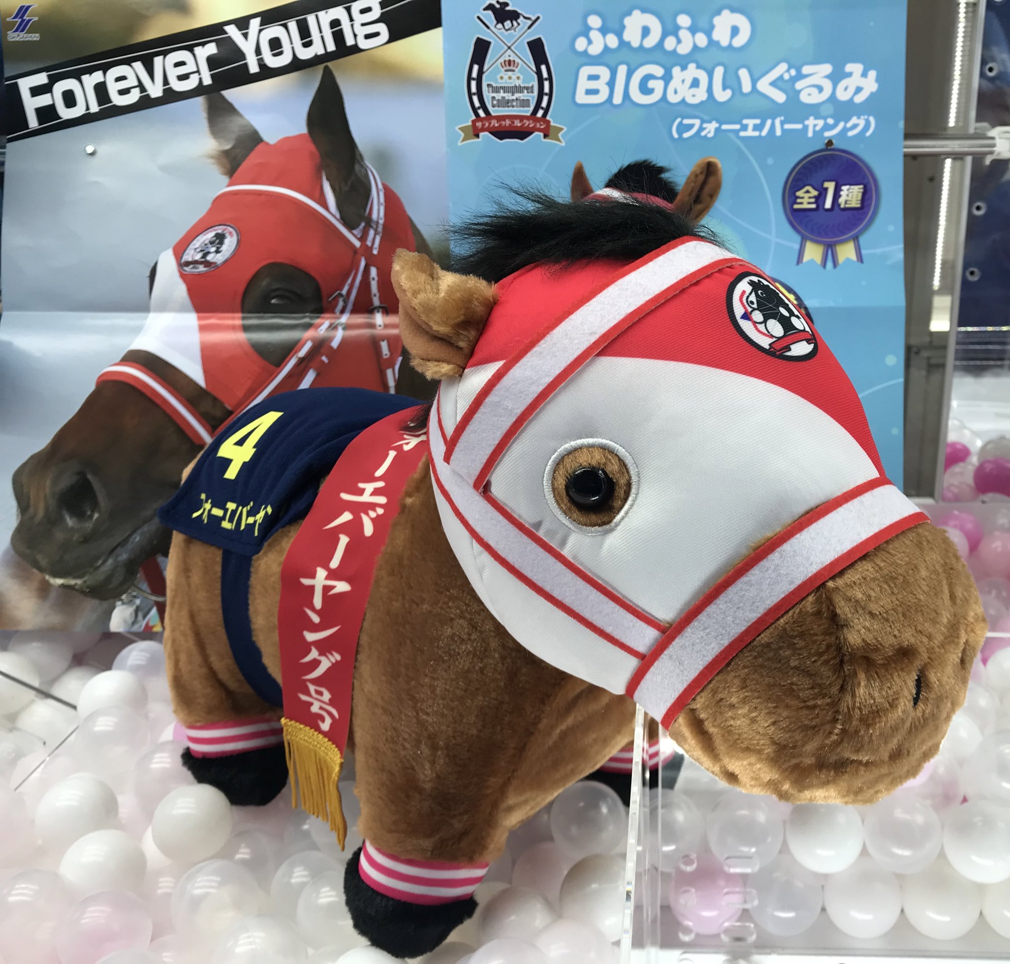 サラブレッドコレクション フォーエバーヤング フォーエバーヤングぬいぐるみ 🔥新商品入荷🔥／ #サラブレッドコレクション から ふわふわBIG